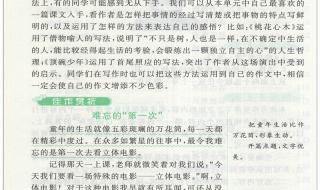 小学六年级下册语文第二单元作文450字,写节日习俗的